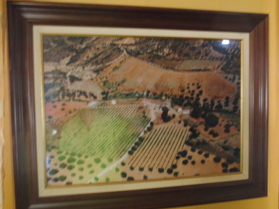 Aerial photograph.